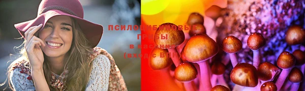 амф Алзамай