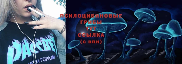 амф Алзамай