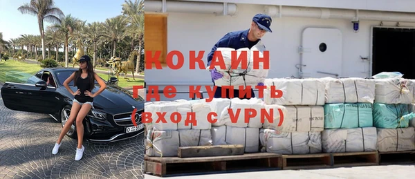 винт Абаза