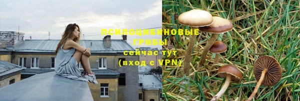 амф Алзамай