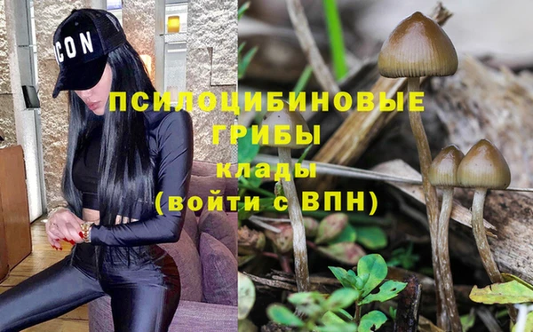 мяу мяу мука Алексеевка