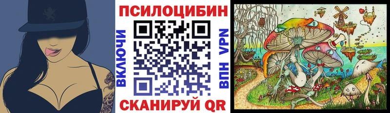 Галлюциногенные грибы Psilocybe  ОМГ ОМГ ONION  Ступино 